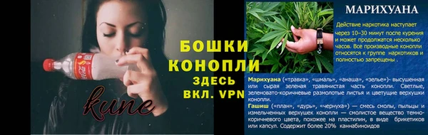 сатива Абдулино