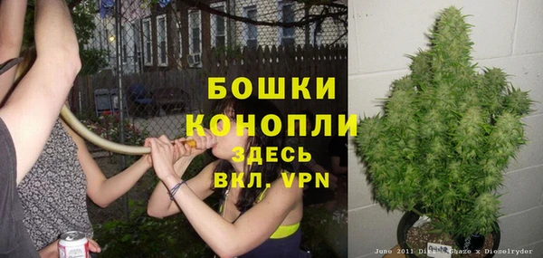 сатива Абаза