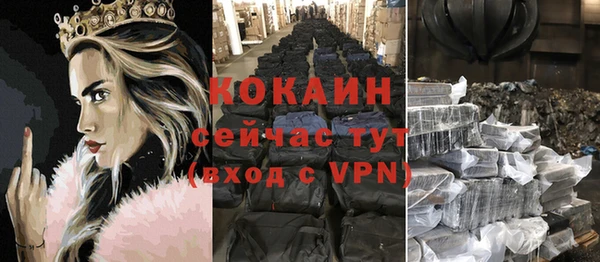 сатива Абаза