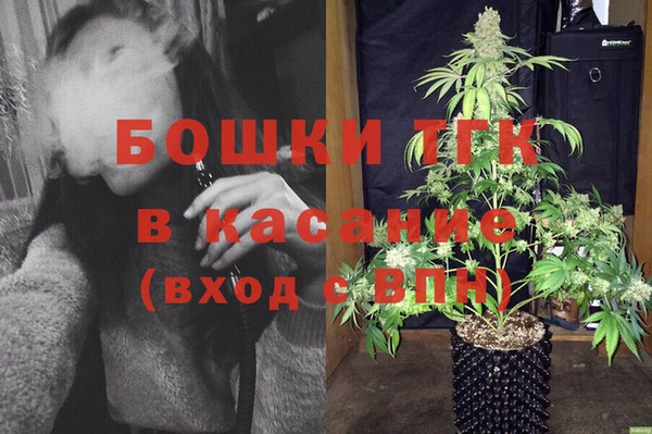 сатива Абаза