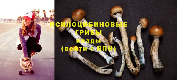сатива Абаза