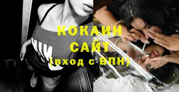 сатива Абаза