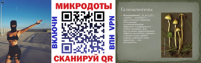 Псилоцибиновые грибы Magic Shrooms  Ялуторовск 