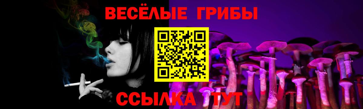 Псилоцибиновые грибы MAGIC MUSHROOMS  Псилоцибиновые грибы Cubensis  Вход с VPN  Ялуторовск 